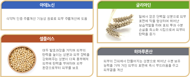 인펀트제품에 대한 성분효능을 소개합니다.